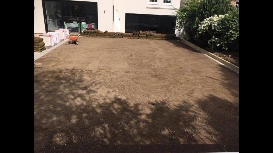 new laid lawn