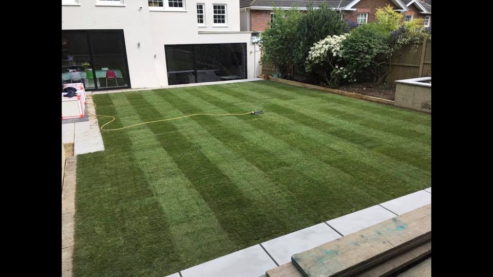 new laid lawn